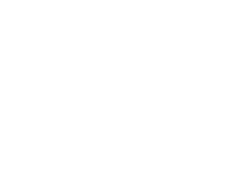 Icon Passenger