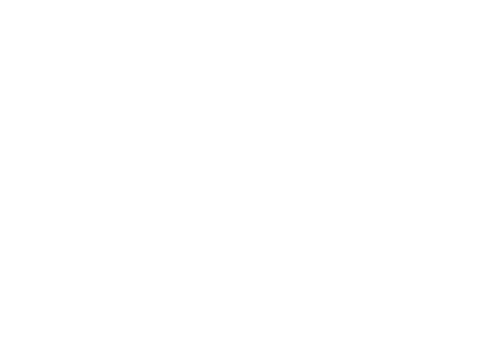 Icon Trike