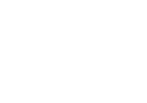 Icon Van