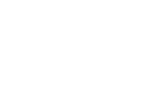 Icon0Car